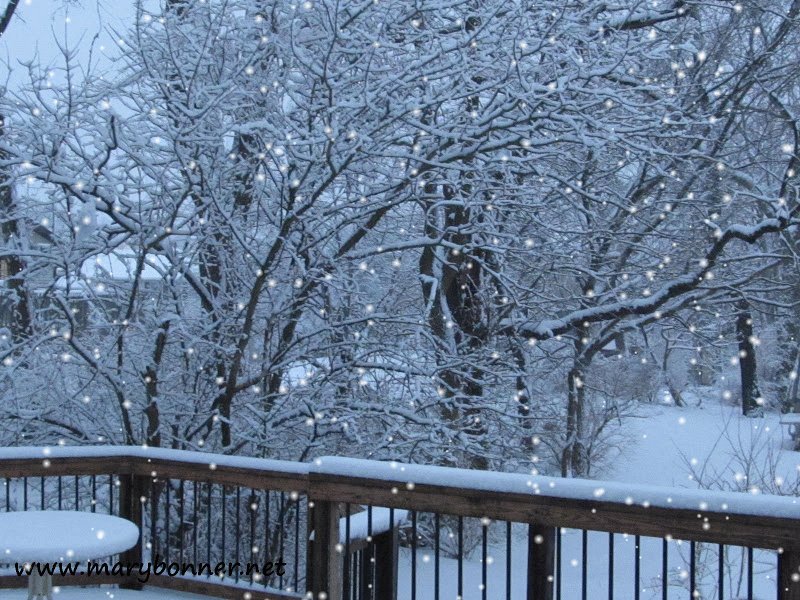 A snowstorm, a cancellation and an anniversary... Mary Bonner