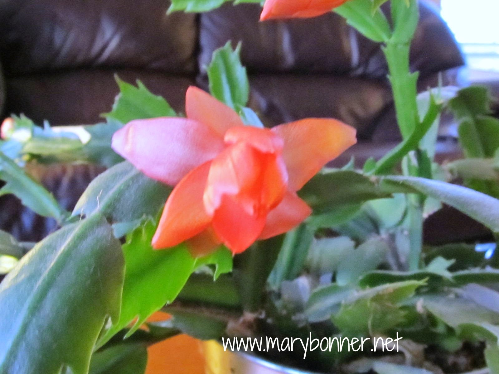 5 Minute Friday…Change