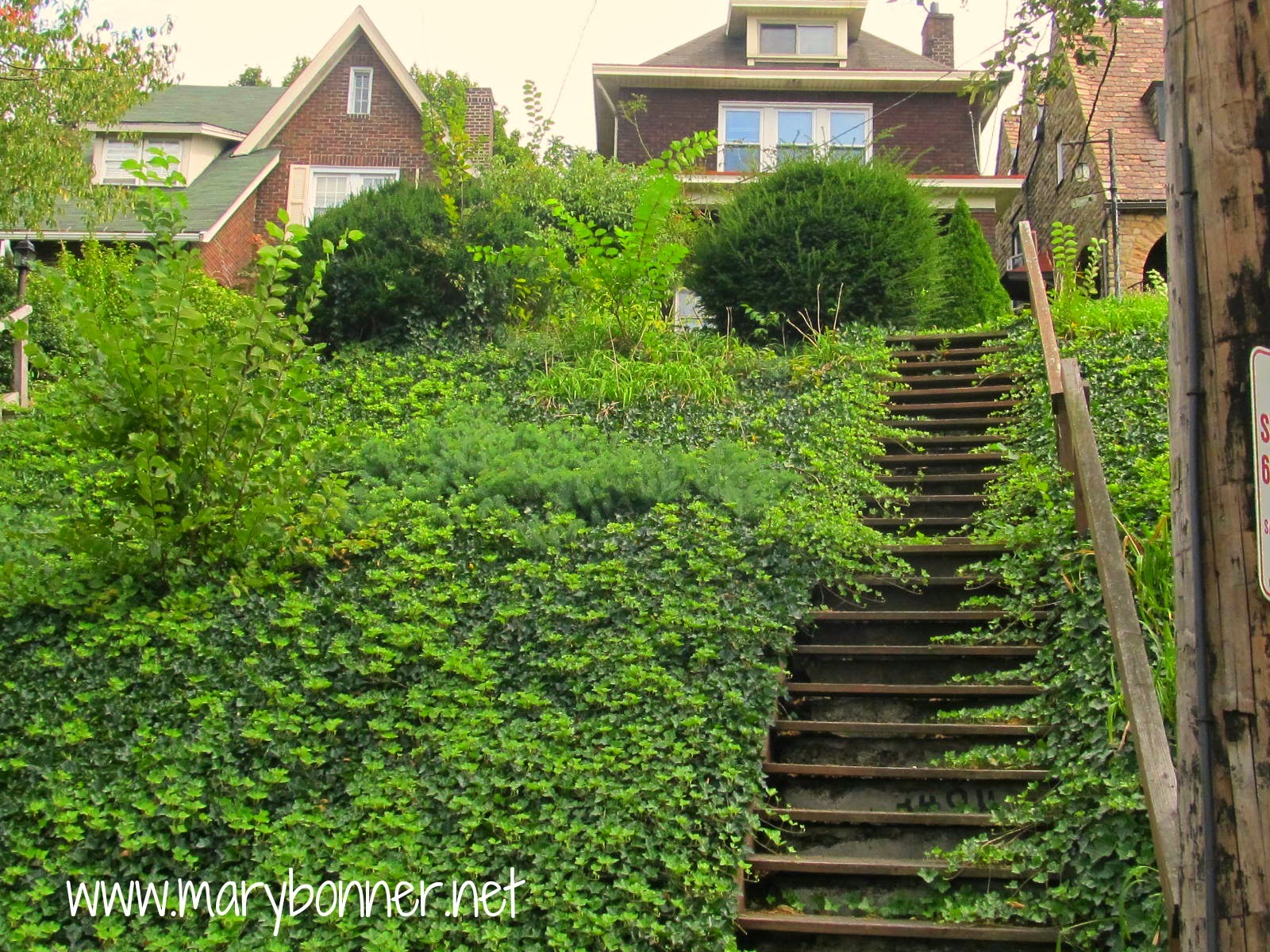 Where do the steps lead?