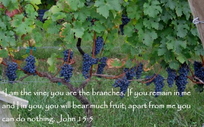 For your Sunday…